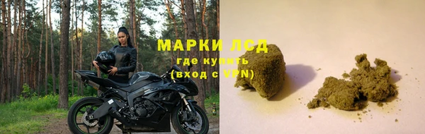 прущие грибы Краснослободск