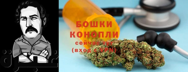 прущие грибы Краснослободск
